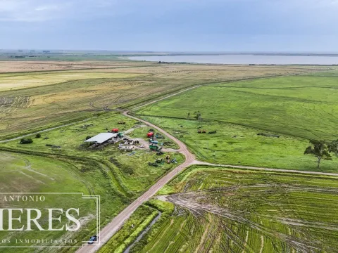 Campo en venta de 625 ha Rocha, Uruguay