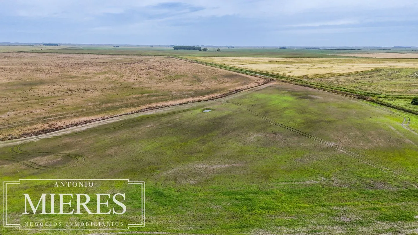 Campo en venta de 625 ha Rocha, Uruguay — foto 2