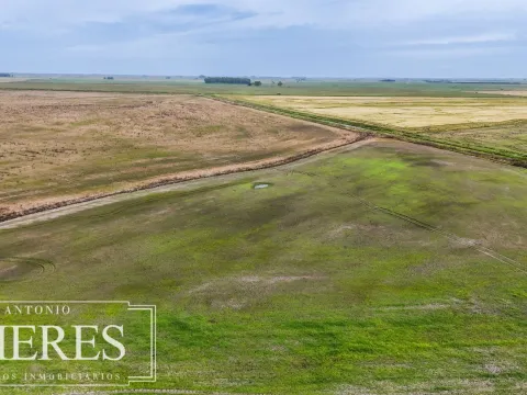 Campo en venta de 625 ha Rocha, Uruguay — foto 2