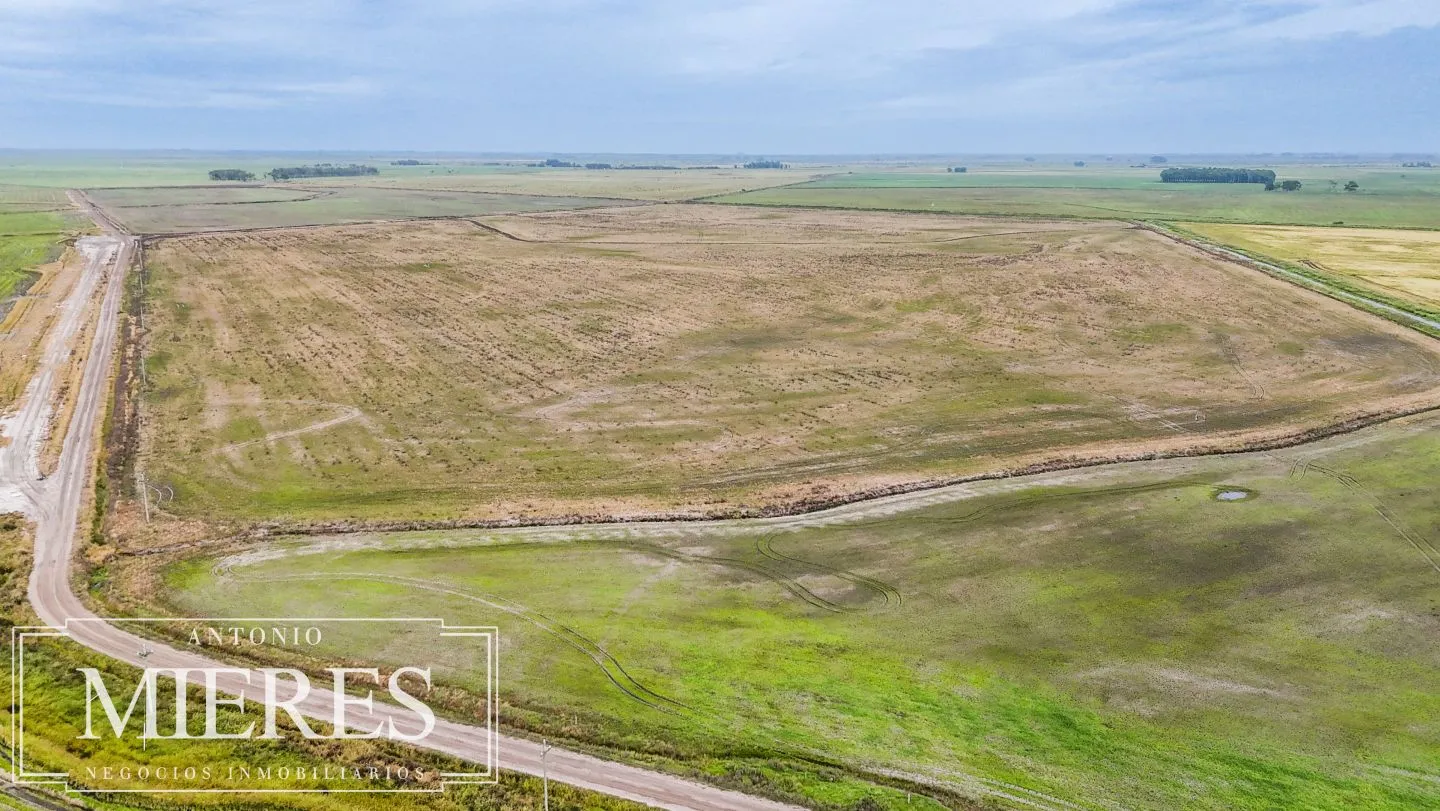 Campo en venta de 625 ha Rocha, Uruguay — foto 3