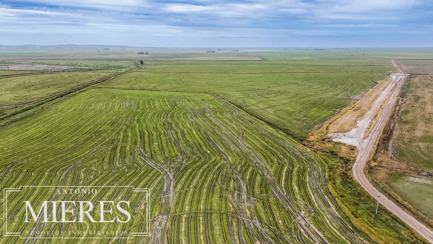 Campo en venta de 625 ha Rocha, Uruguay — foto 4