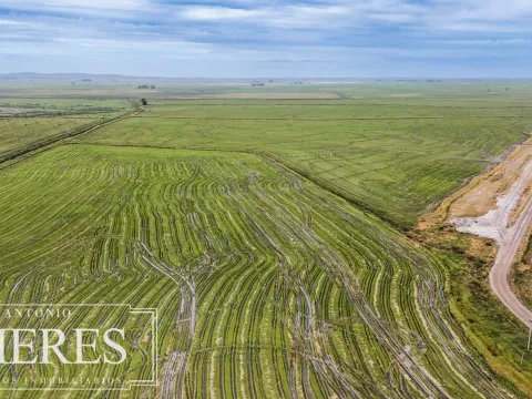 Campo en venta de 625 ha Rocha, Uruguay — foto 4