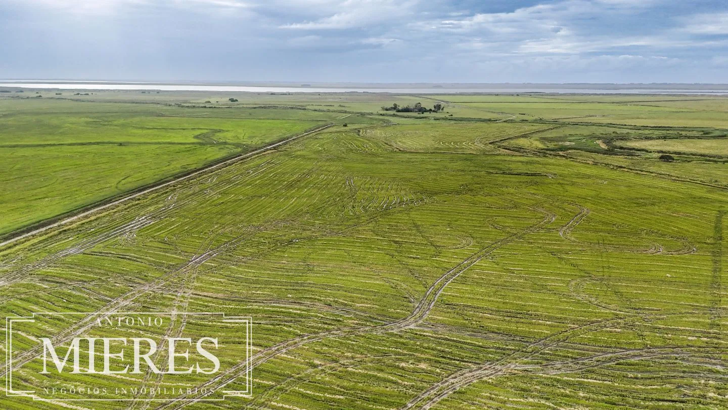 Campo en venta de 625 ha Rocha, Uruguay — foto 5