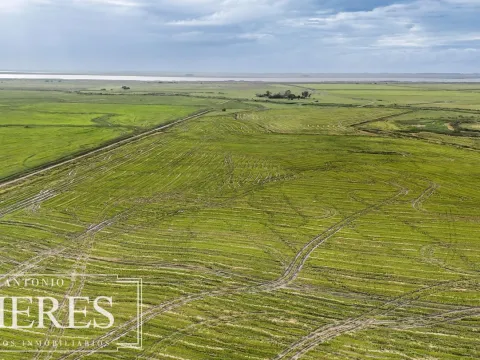Campo en venta de 625 ha Rocha, Uruguay — foto 5