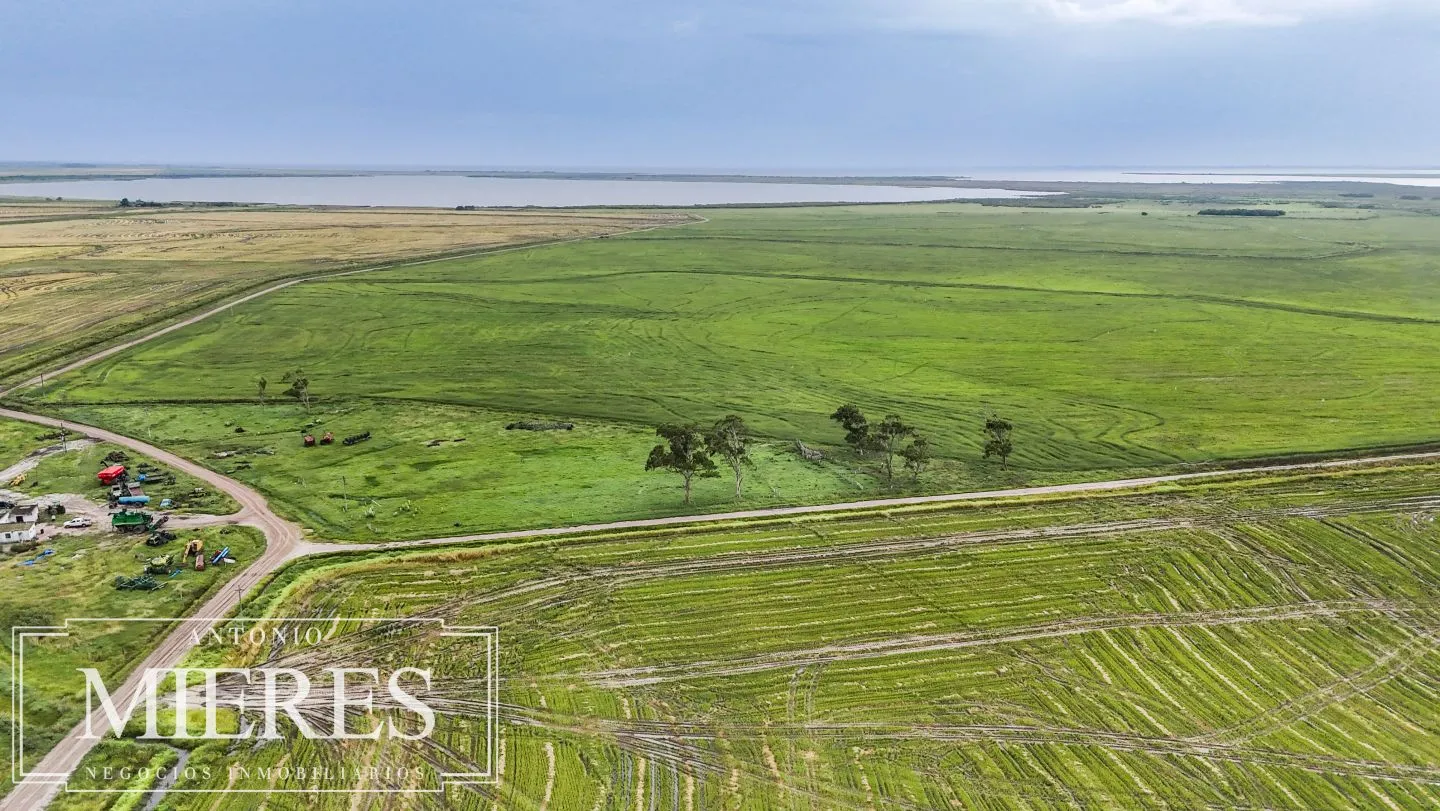 Campo en venta de 625 ha Rocha, Uruguay — foto 6