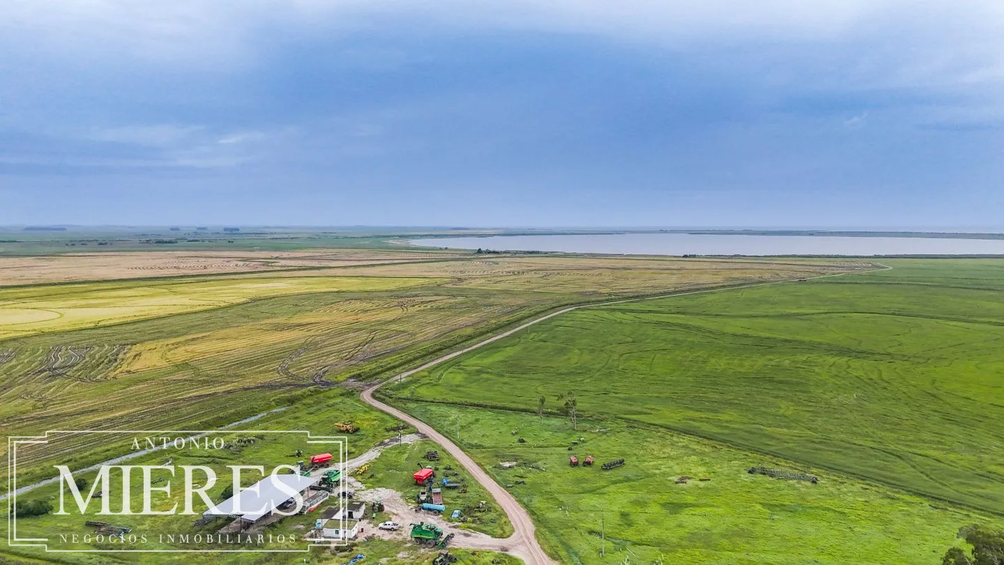 Campo en venta de 625 ha Rocha, Uruguay — foto 7