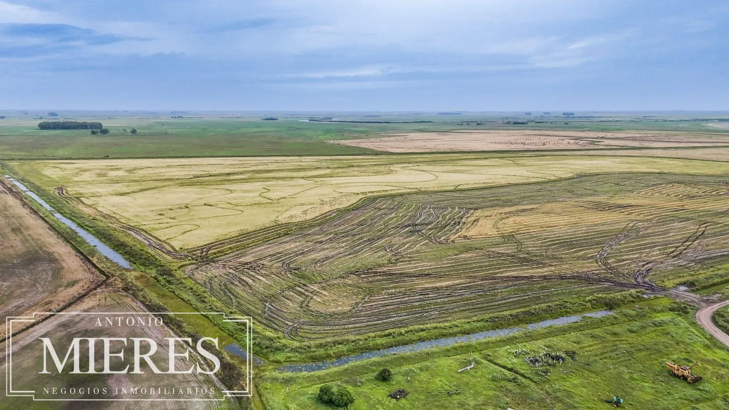 Campo en venta de 625 ha Rocha, Uruguay — foto 8
