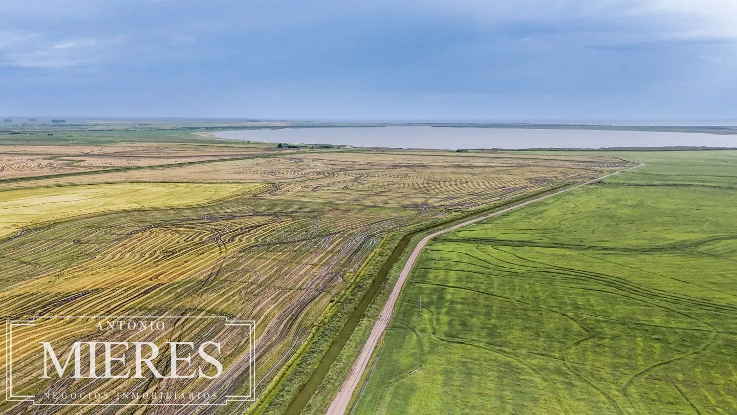 Campo en venta de 625 ha Rocha, Uruguay — foto 9