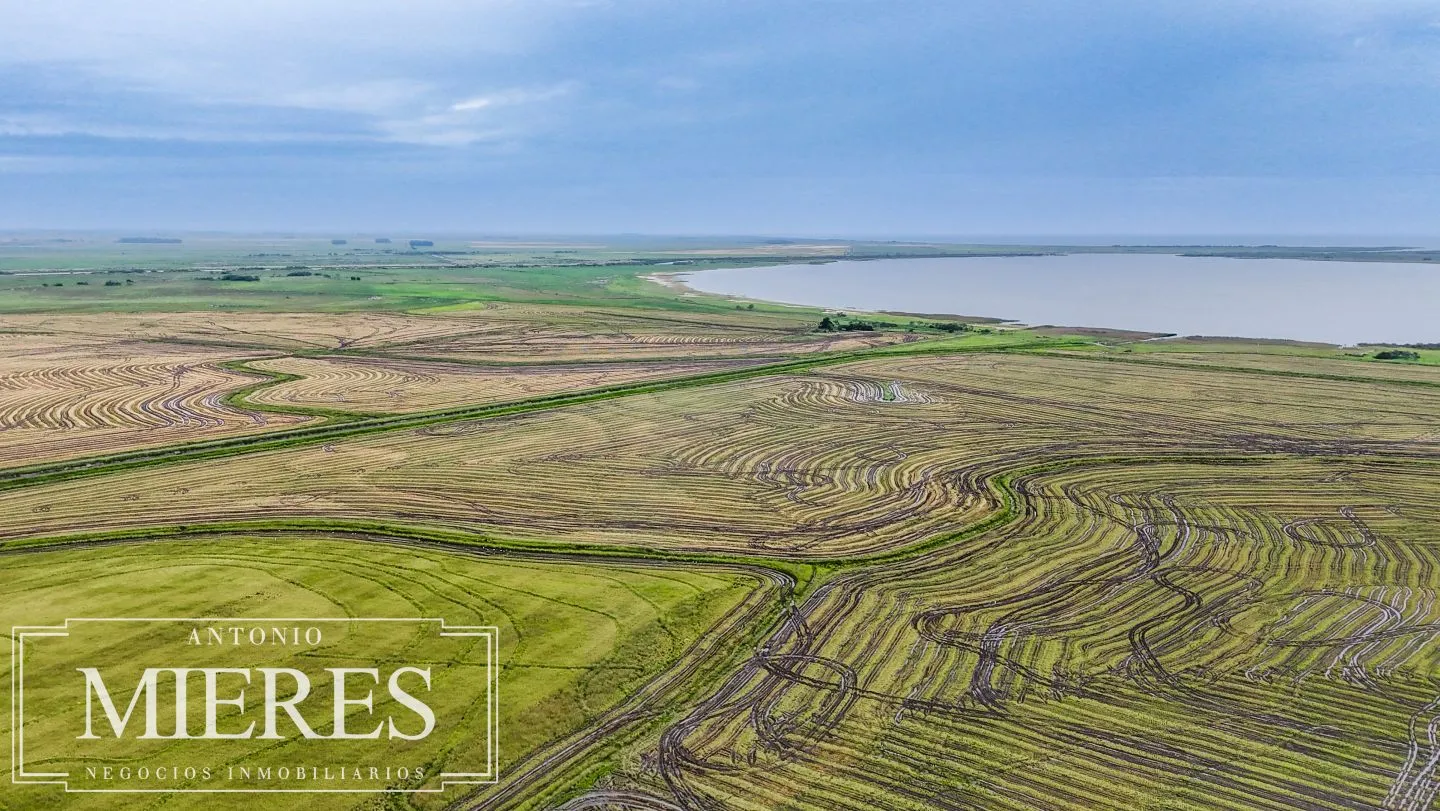 Campo en venta de 625 ha Rocha, Uruguay — foto 10