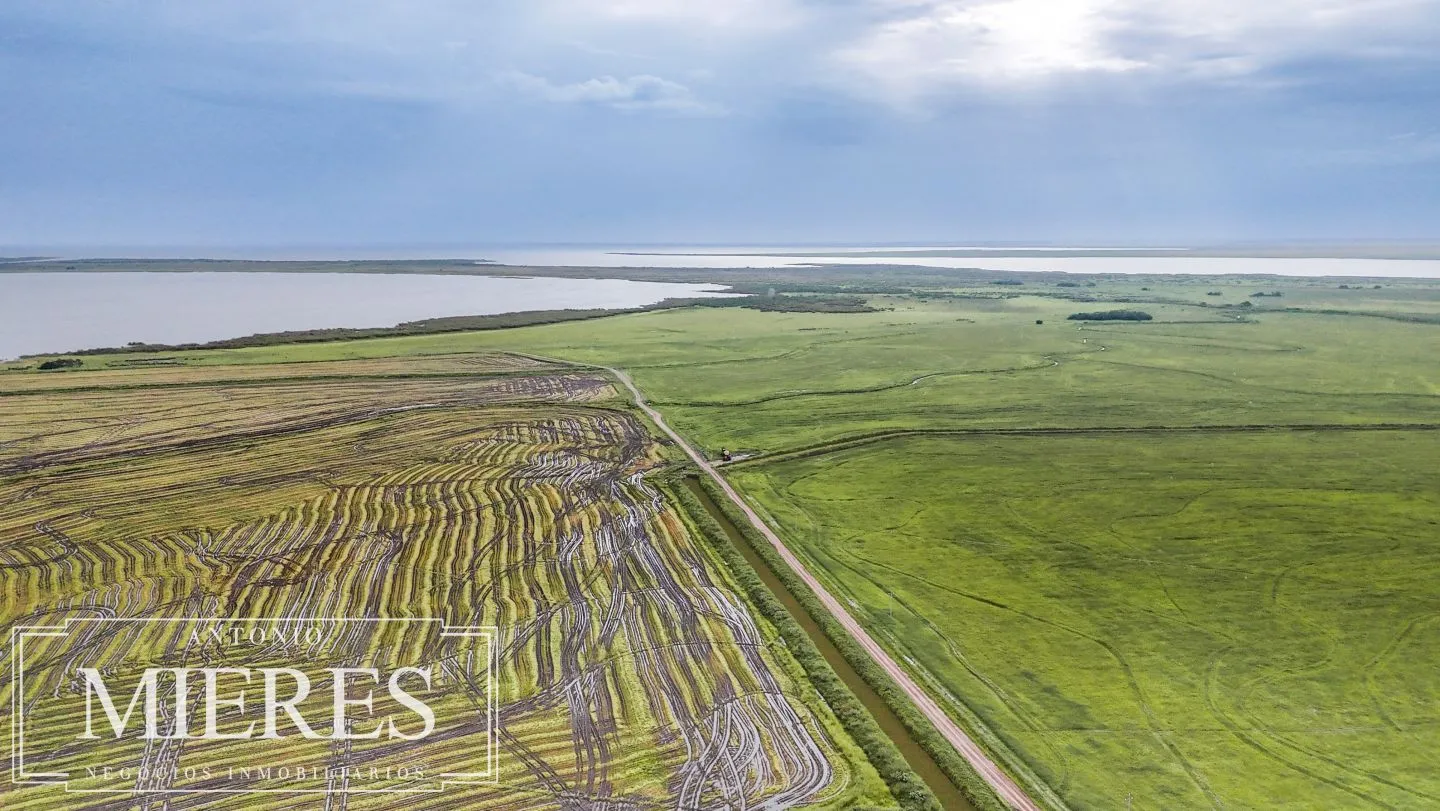 Campo en venta de 625 ha Rocha, Uruguay — foto 11