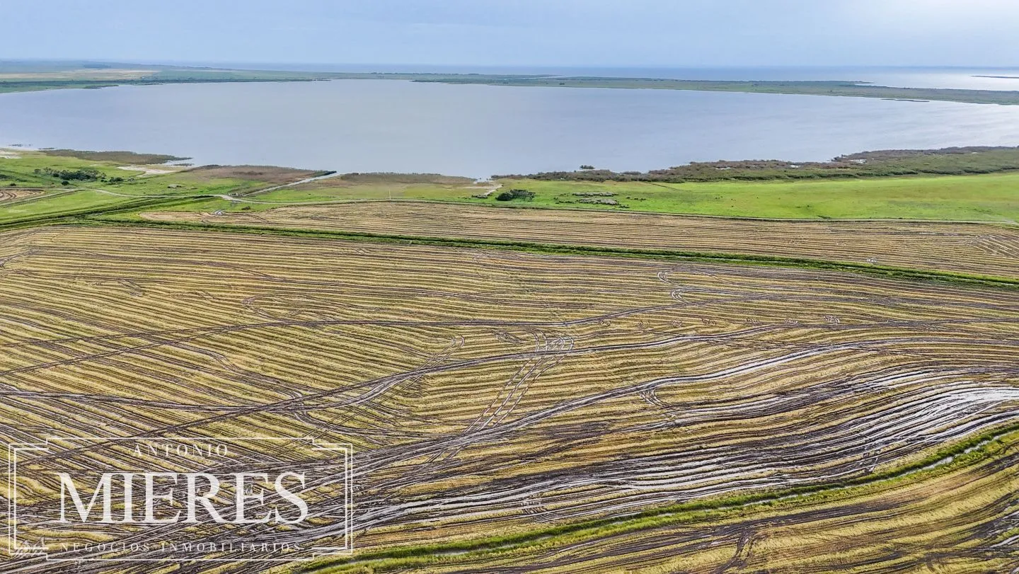 Campo en venta de 625 ha Rocha, Uruguay — foto 13