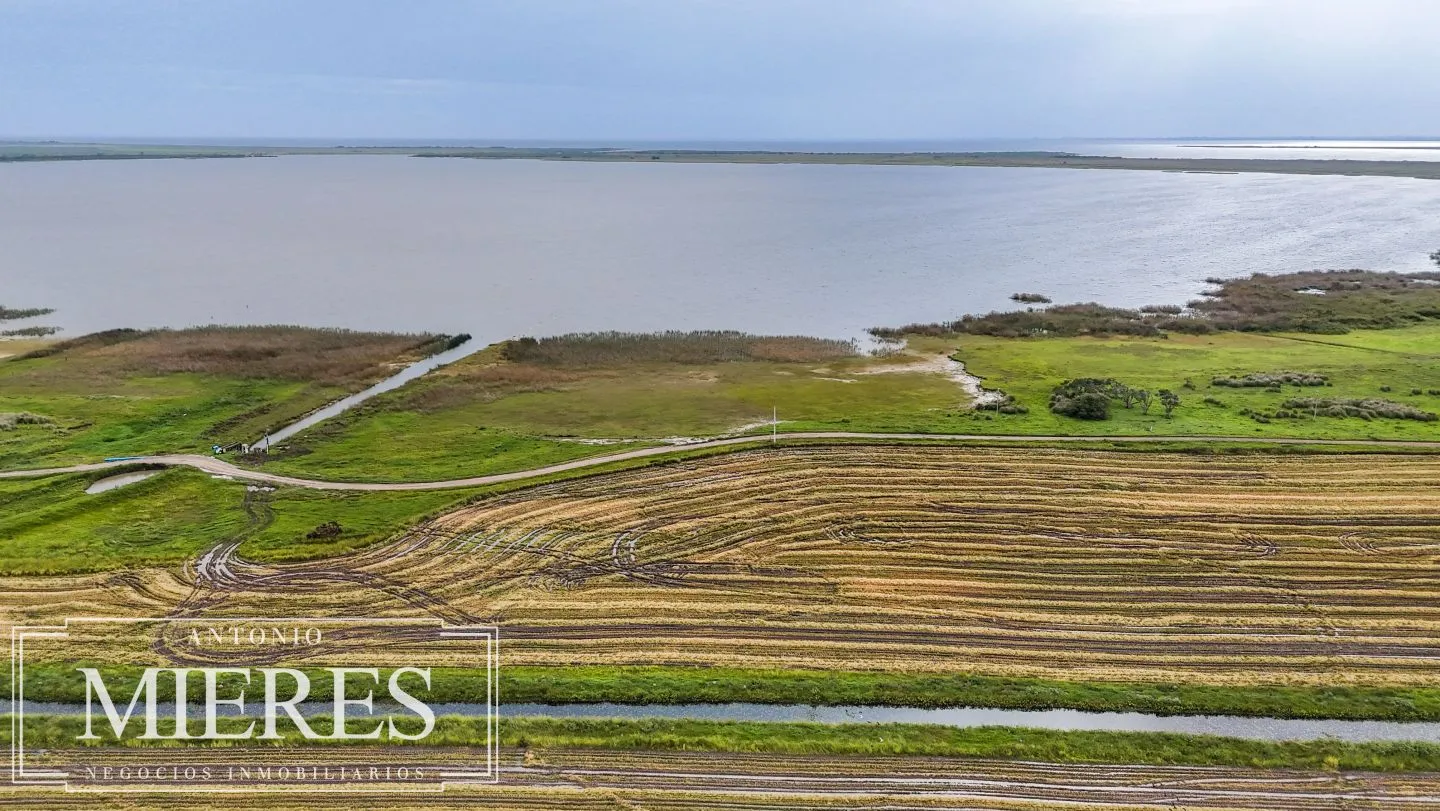 Campo en venta de 625 ha Rocha, Uruguay — foto 14