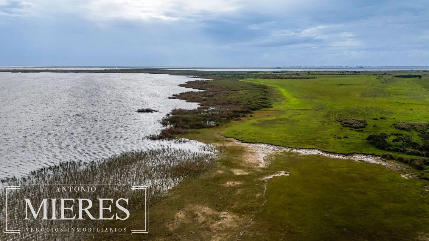 Campo en venta de 625 ha Rocha, Uruguay — foto 16