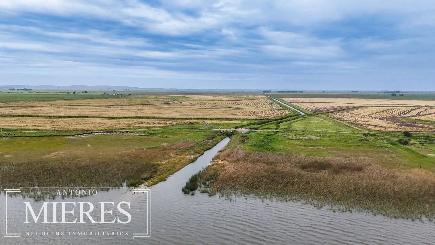 Campo en venta de 625 ha Rocha, Uruguay — foto 17
