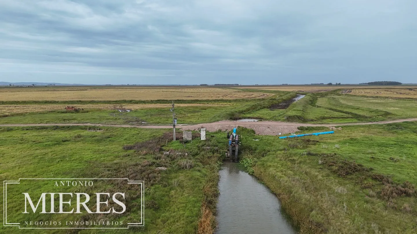Campo en venta de 625 ha Rocha, Uruguay — foto 19