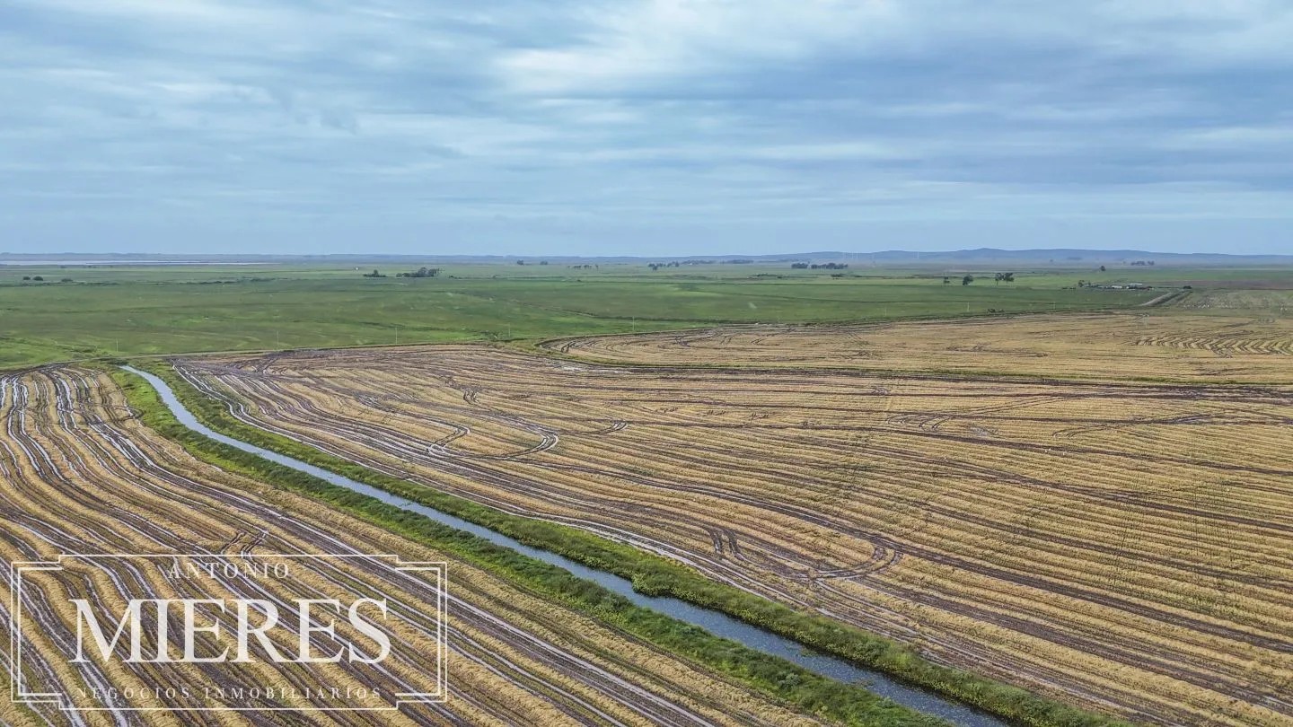 Campo en venta de 625 ha Rocha, Uruguay — foto 20