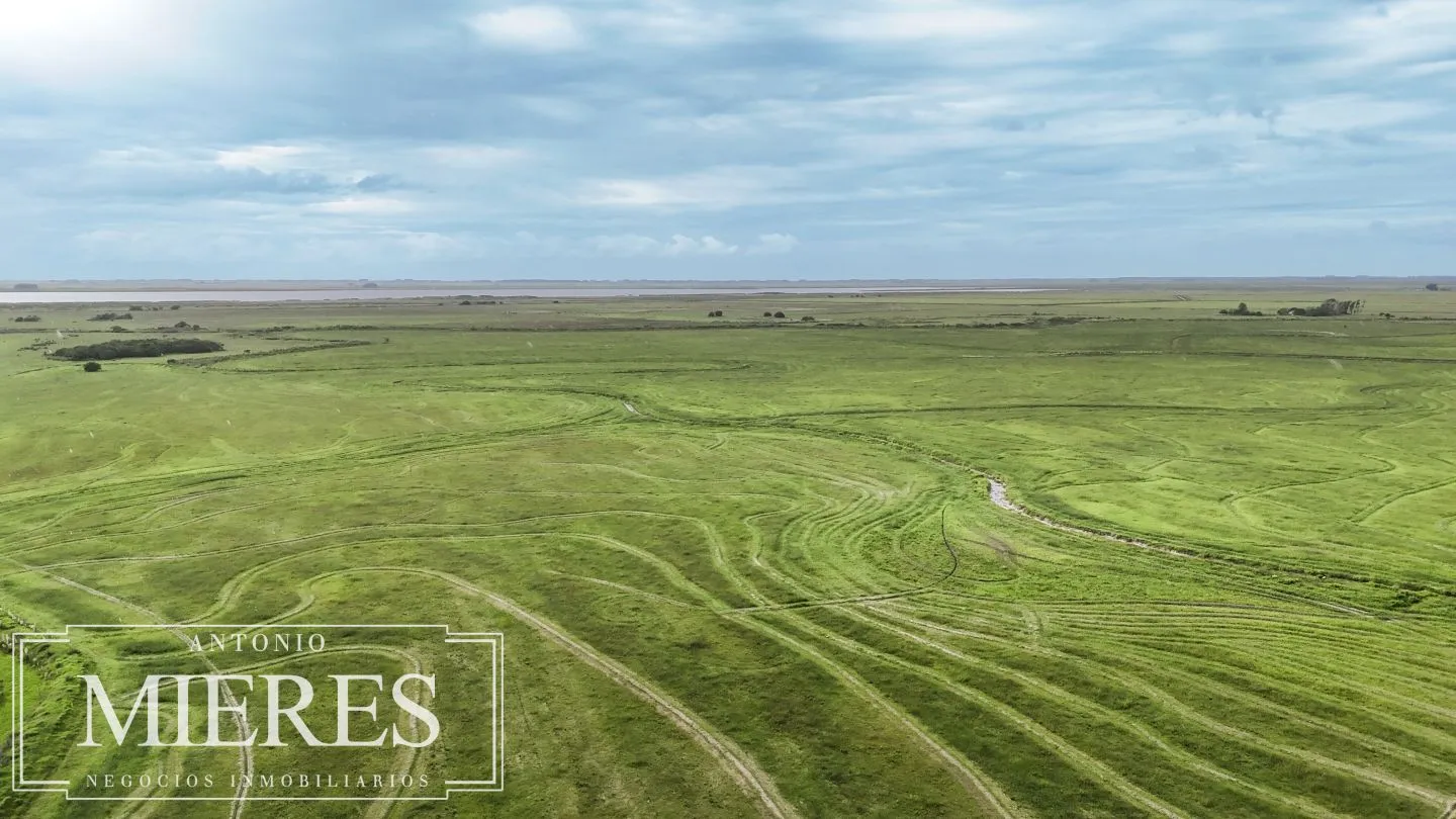 Campo en venta de 625 ha Rocha, Uruguay — foto 21