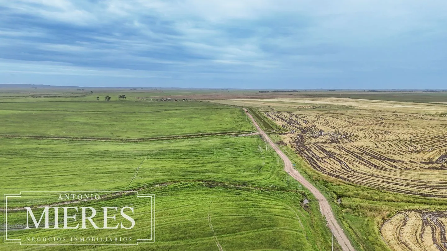 Campo en venta de 625 ha Rocha, Uruguay — foto 22