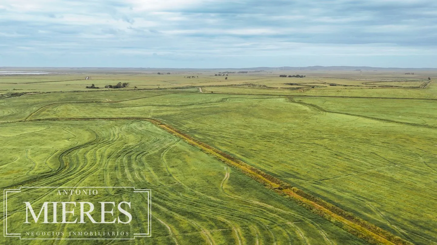Campo en venta de 625 ha Rocha, Uruguay — foto 23