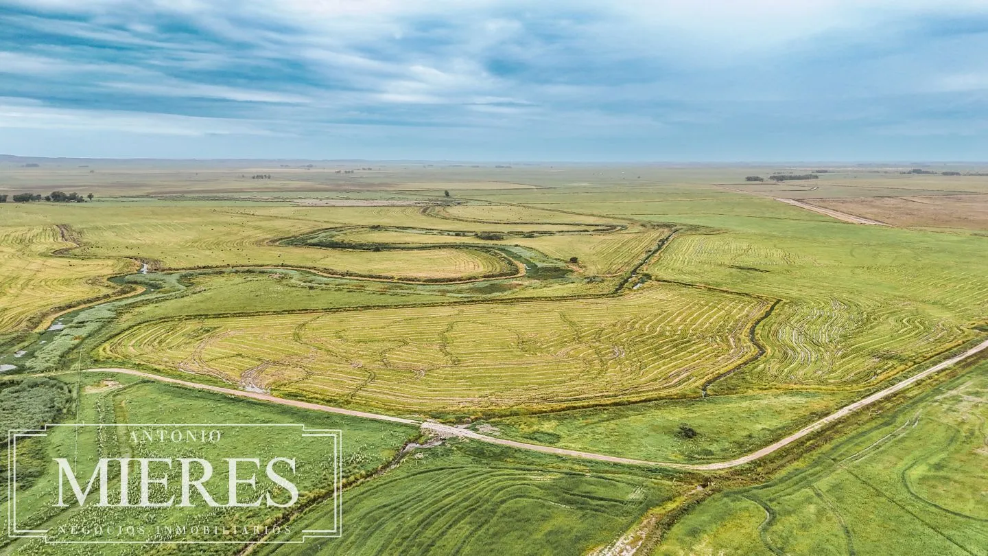 Campo en venta de 625 ha Rocha, Uruguay — foto 24