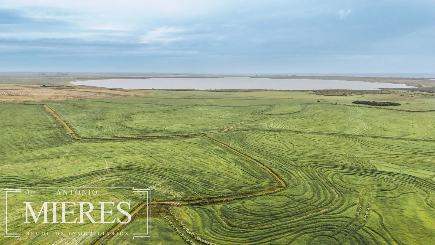Campo en venta de 625 ha Rocha, Uruguay — foto 25