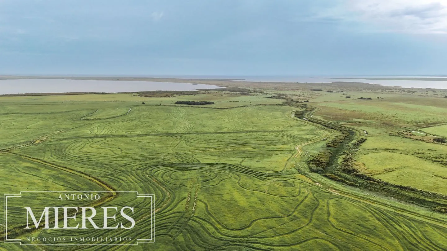 Campo en venta de 625 ha Rocha, Uruguay — foto 26