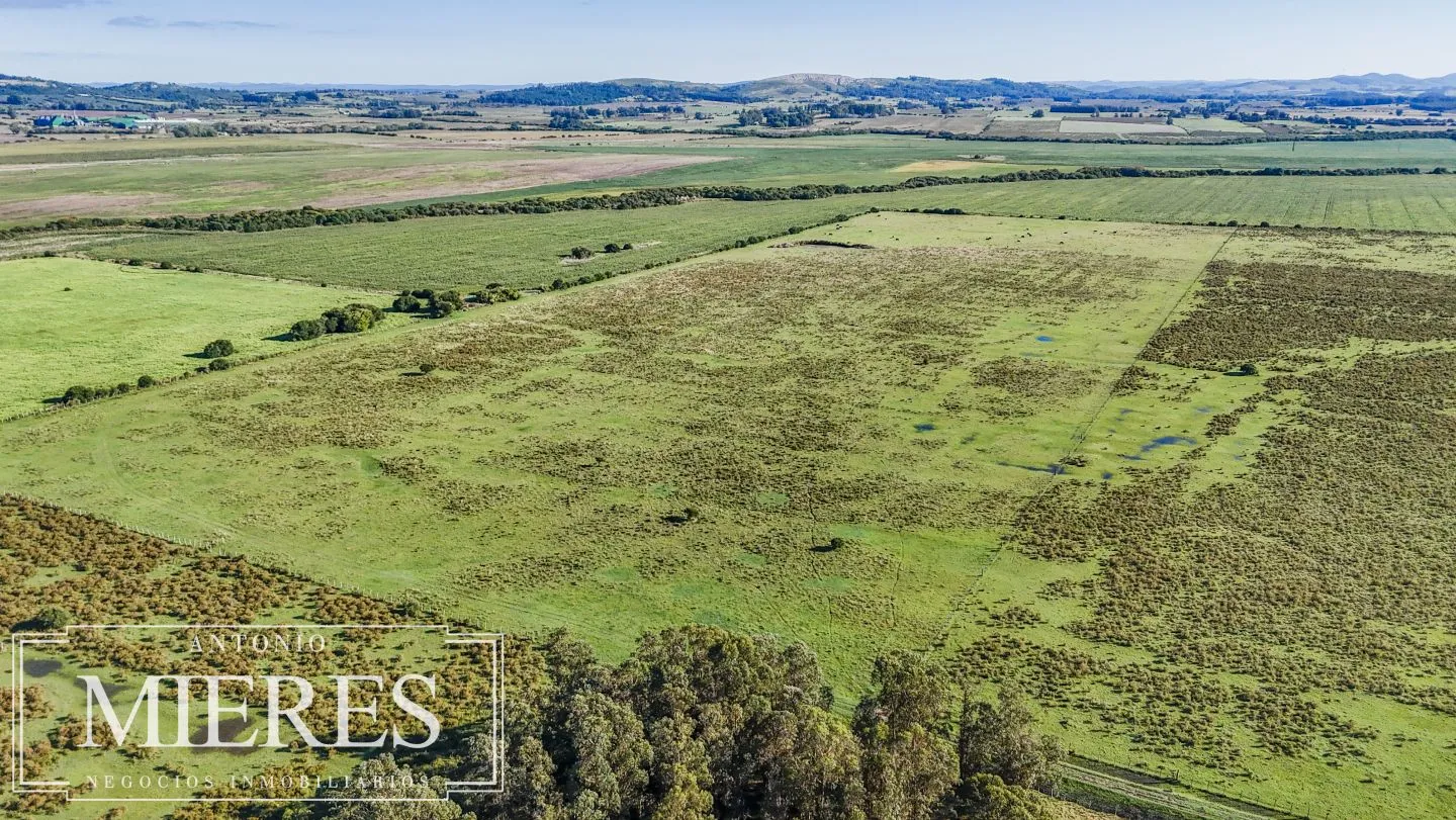 Chacra de 16 ha en venta, Zona Lapataia, Maldonado Uruguay. — foto 1
