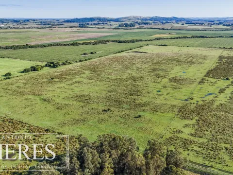 Chacra de 16 ha en venta, Zona Lapataia, Maldonado Uruguay.