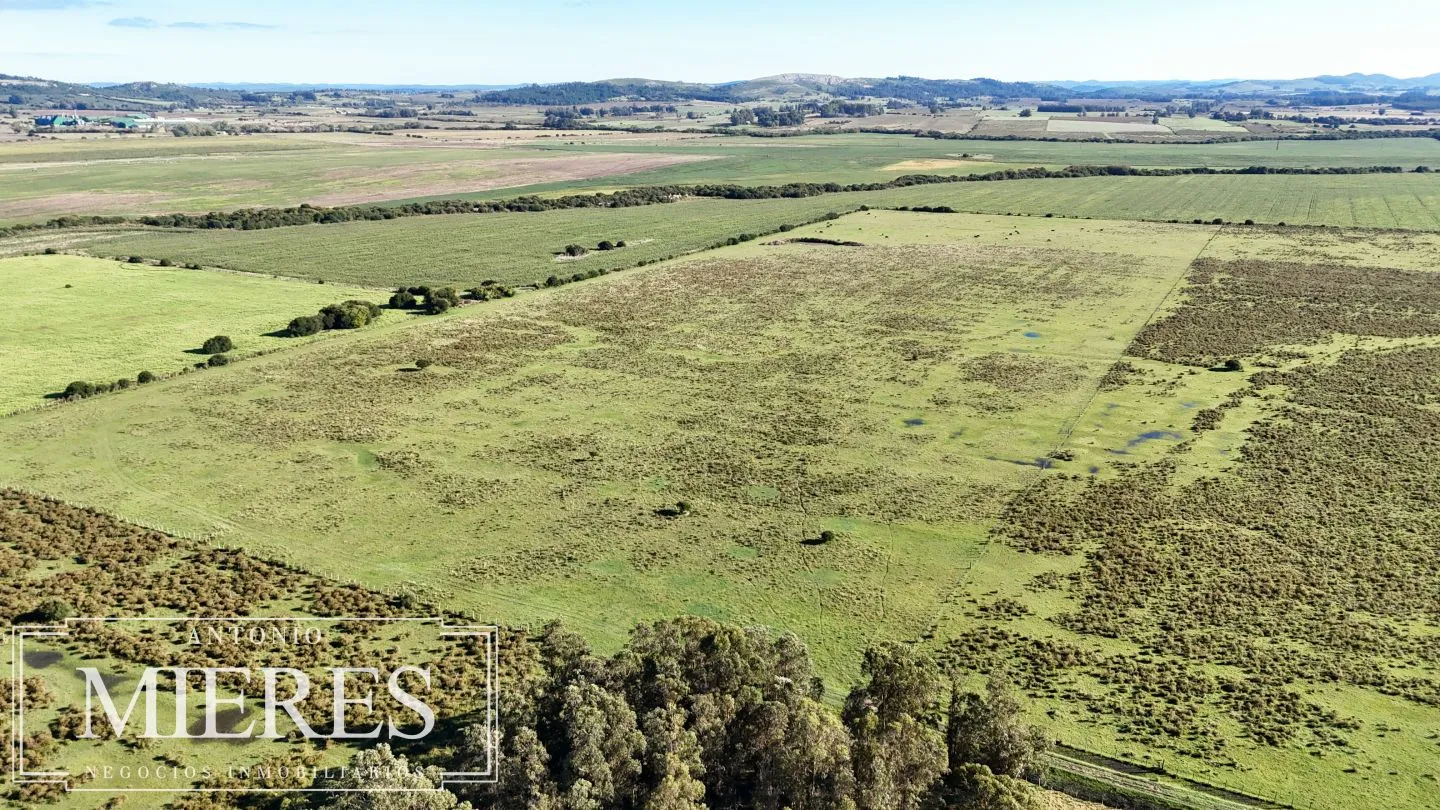 Chacra de 16 ha en venta, Zona Lapataia, Maldonado Uruguay. — foto 2