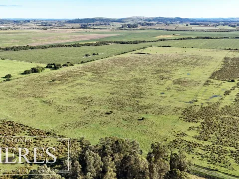 Chacra de 16 ha en venta, Zona Lapataia, Maldonado Uruguay. — foto 2