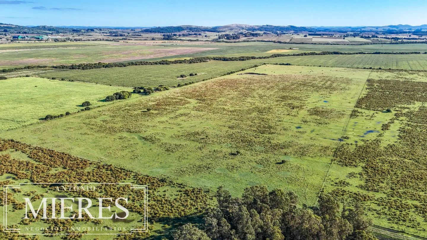 Chacra de 16 ha en venta, Zona Lapataia, Maldonado Uruguay. — foto 3