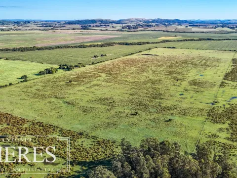 Chacra de 16 ha en venta, Zona Lapataia, Maldonado Uruguay. — foto 3
