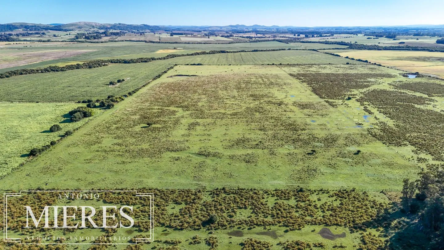 Chacra de 16 ha en venta, Zona Lapataia, Maldonado Uruguay. — foto 4