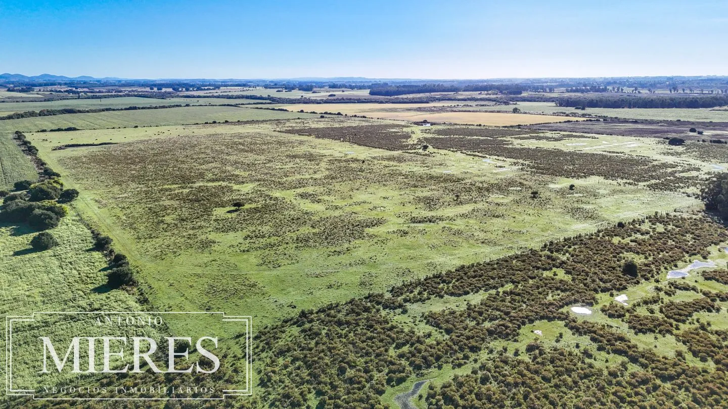 Chacra de 16 ha en venta, Zona Lapataia, Maldonado Uruguay. — foto 5