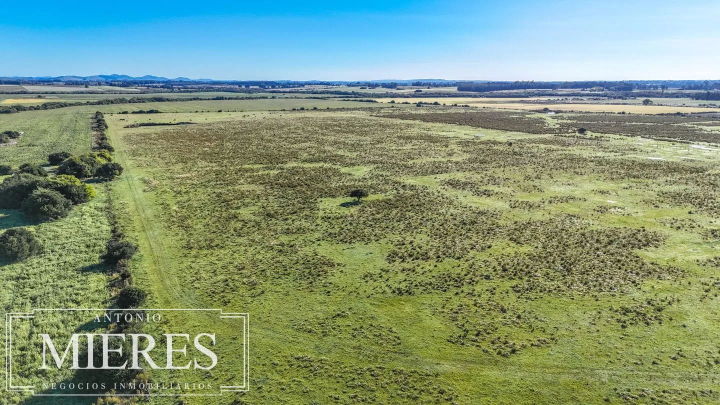 Chacra de 16 ha en venta, Zona Lapataia, Maldonado Uruguay. — foto 6