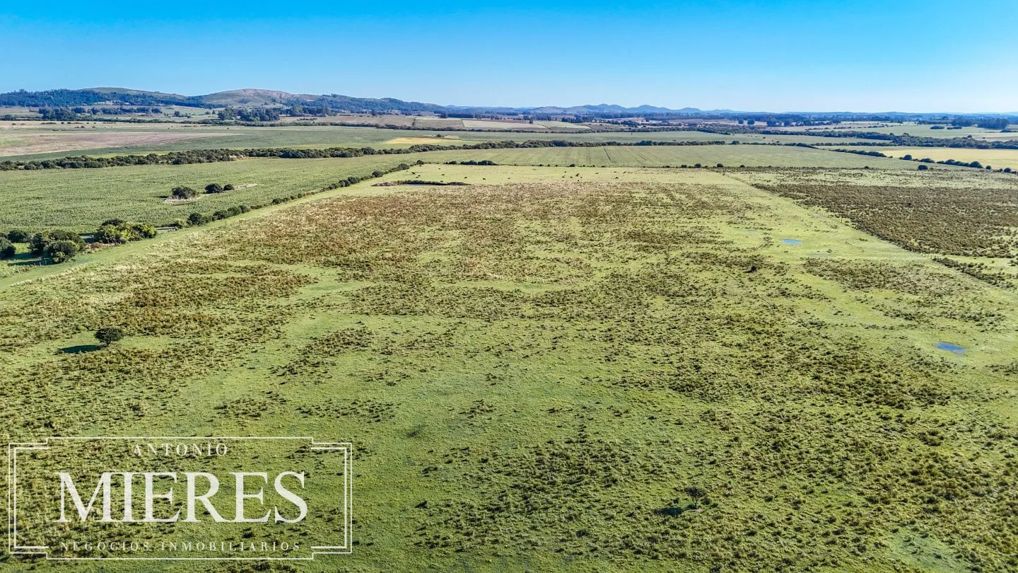 Chacra de 16 ha en venta, Zona Lapataia, Maldonado Uruguay. — foto 7