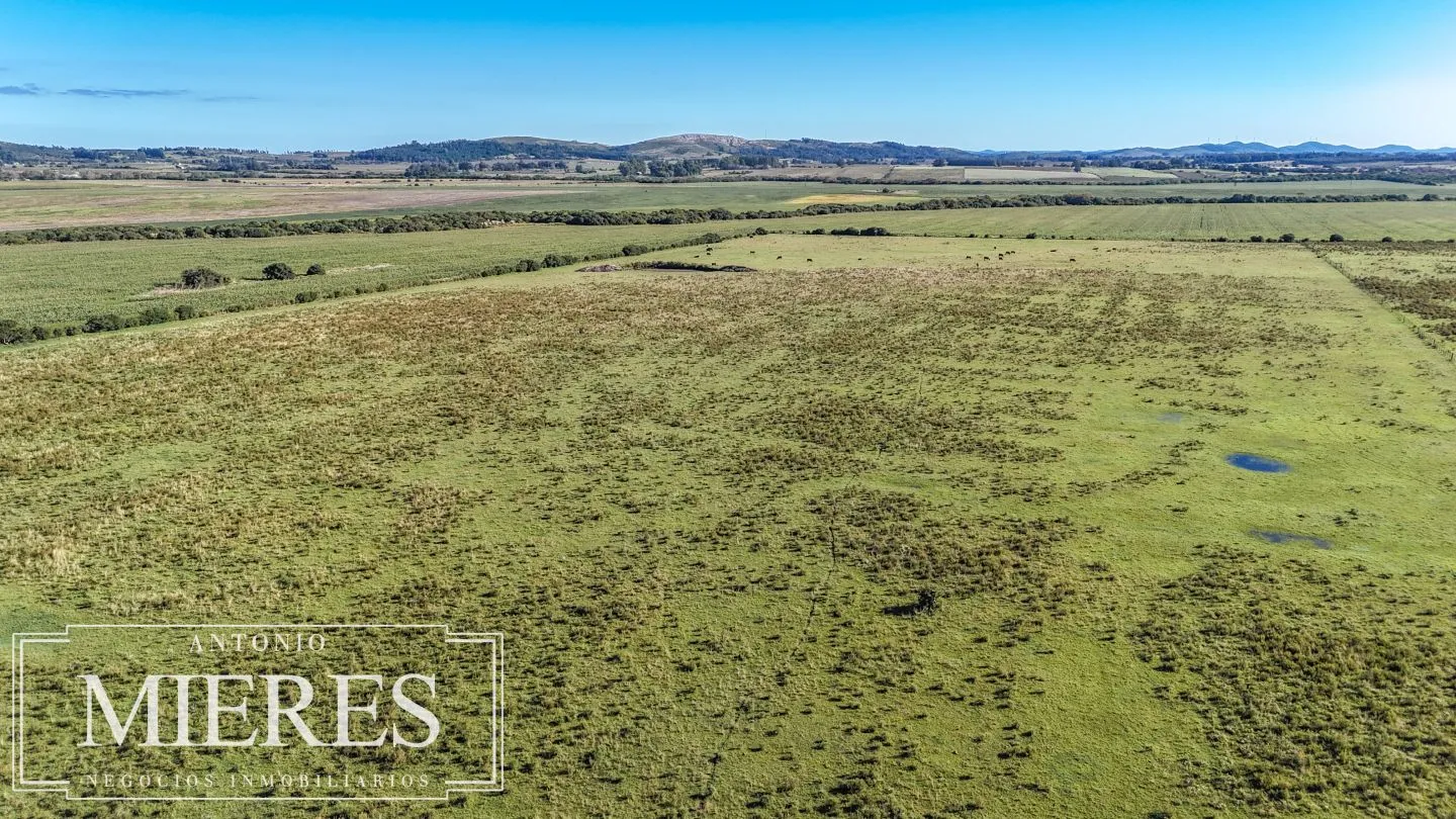 Chacra de 16 ha en venta, Zona Lapataia, Maldonado Uruguay. — foto 8