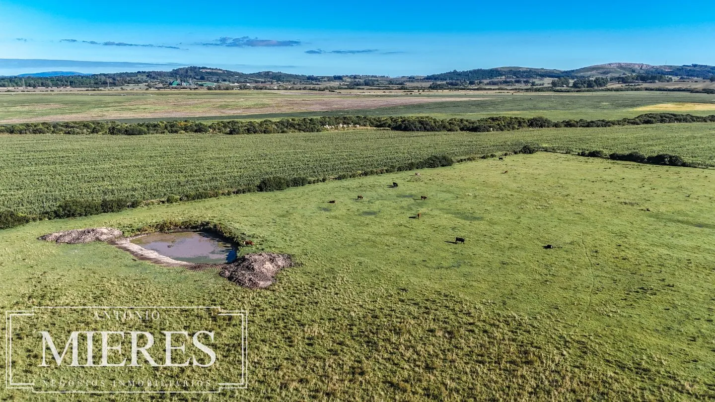 Chacra de 16 ha en venta, Zona Lapataia, Maldonado Uruguay. — foto 9