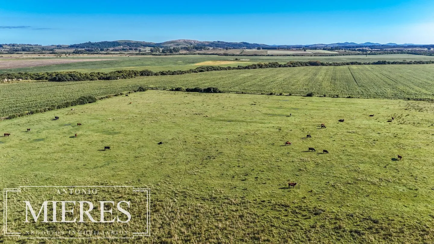Chacra de 16 ha en venta, Zona Lapataia, Maldonado Uruguay. — foto 10
