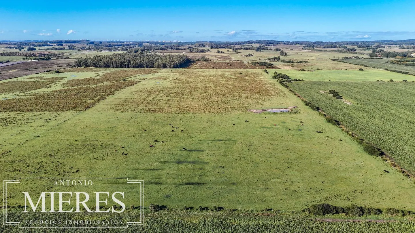 Chacra de 16 ha en venta, Zona Lapataia, Maldonado Uruguay. — foto 12