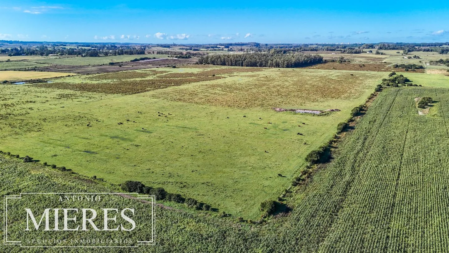 Chacra de 16 ha en venta, Zona Lapataia, Maldonado Uruguay. — foto 13