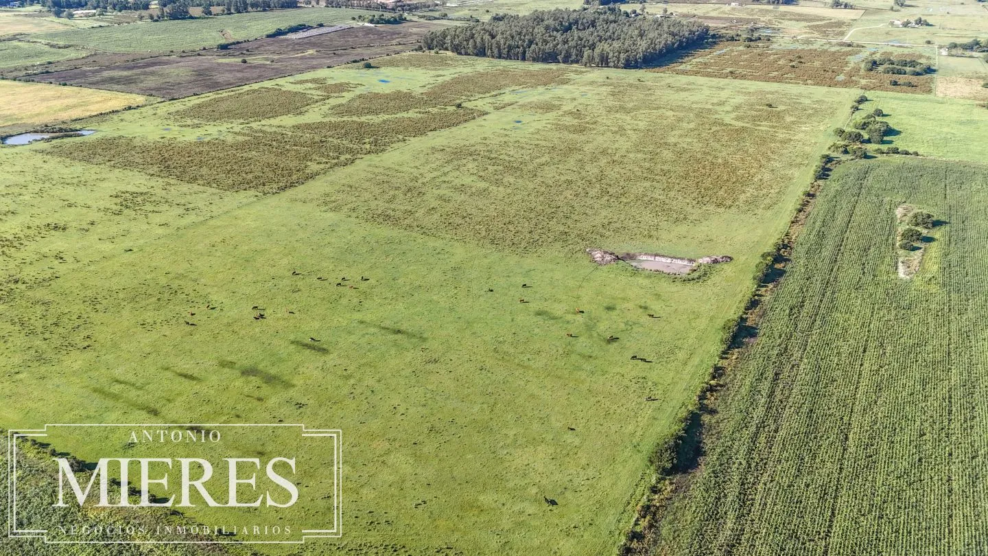 Chacra de 16 ha en venta, Zona Lapataia, Maldonado Uruguay. — foto 14
