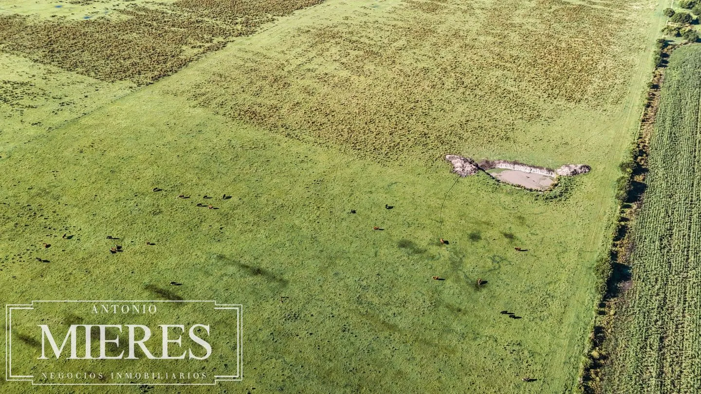 Chacra de 16 ha en venta, Zona Lapataia, Maldonado Uruguay. — foto 15