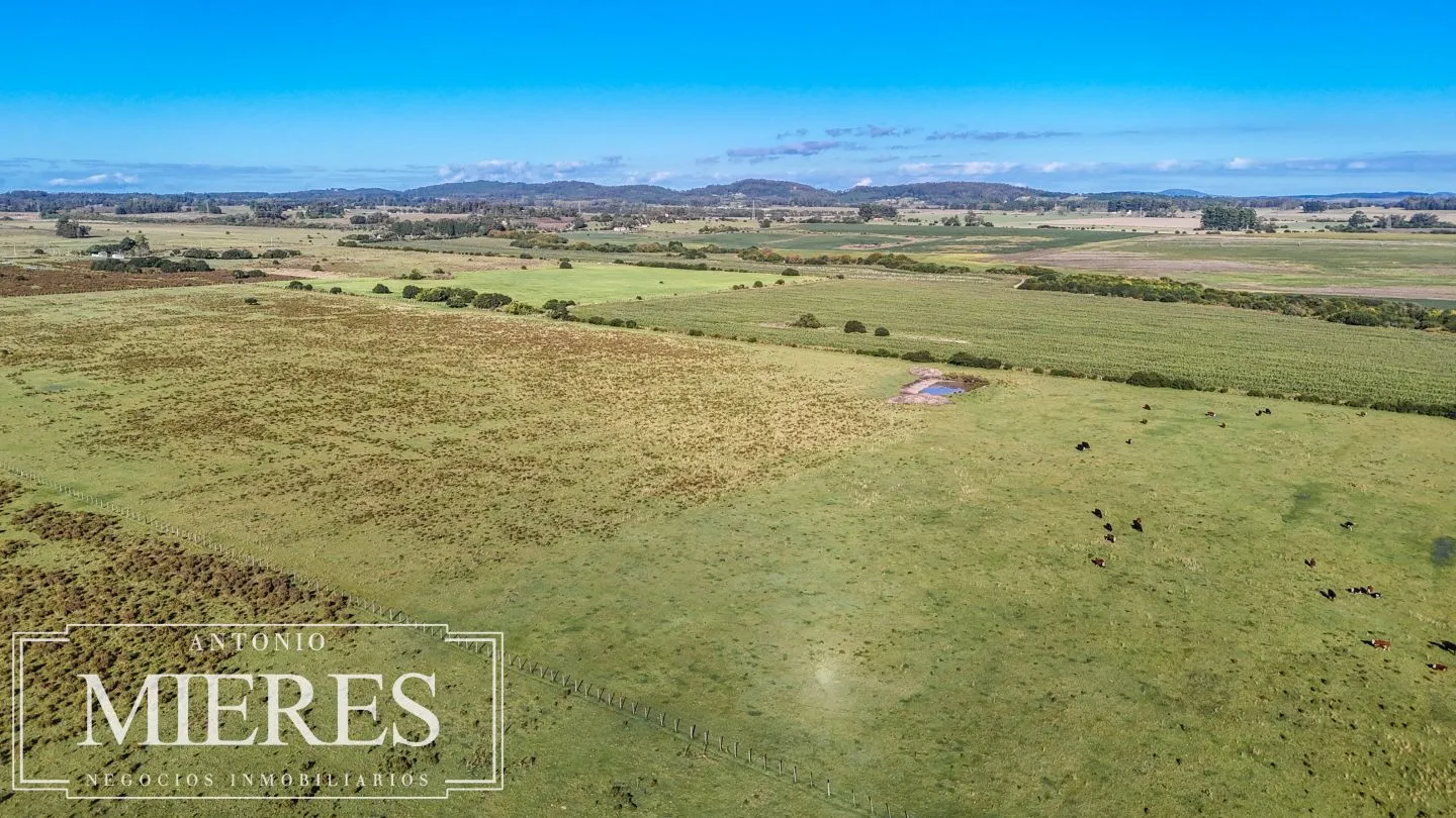 Chacra de 16 ha en venta, Zona Lapataia, Maldonado Uruguay. — foto 16