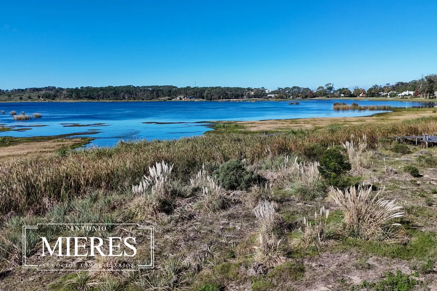 Venta Terreno Reserva Montoya Punta del Este — foto 4