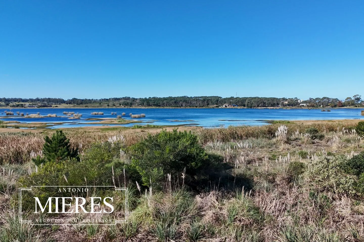 Venta Terreno Reserva Montoya Punta del Este — foto 6