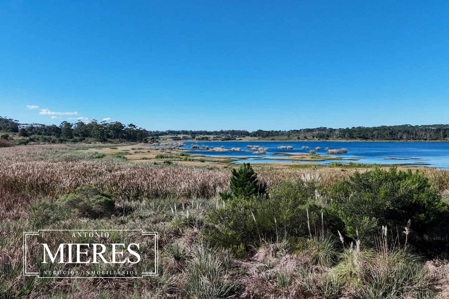 Venta Terreno Reserva Montoya Punta del Este — foto 8