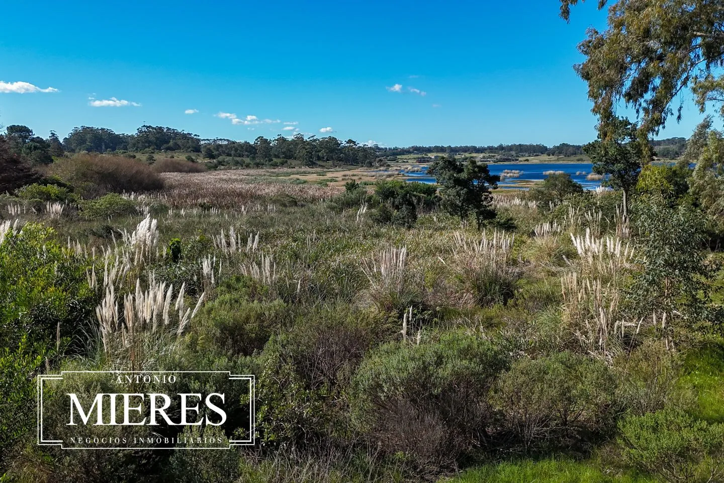 Venta Terreno Reserva Montoya Punta del Este — foto 11