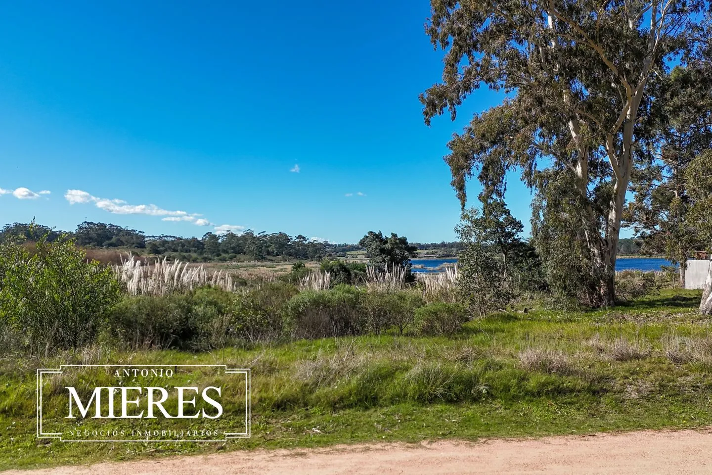 Venta Terreno Reserva Montoya Punta del Este — foto 12