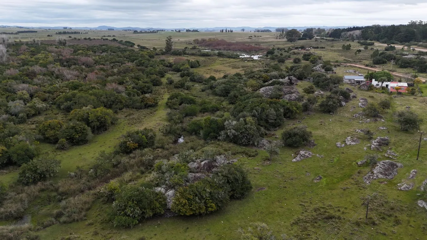 Campo en venta de 14 ha con casa en Aigua, Maldonado Uruguay. — foto 5